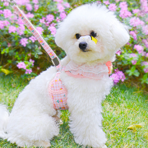 Dog leash walking leash puppy dog ​​chain puppy small dog Teddy Bichon Pomeranian harness vest style