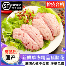 【猪脑新鲜】国产花子冷冻包邮商用批发火锅烧烤食材烤肉