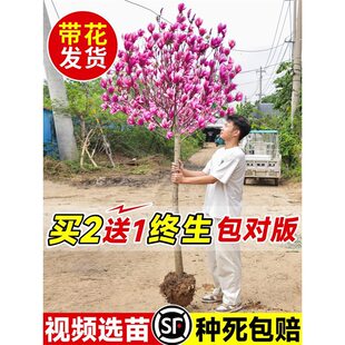 ���m������ͥԺ�����������ͺ��t���m�����Զ������m�ļ����ܾGֲ