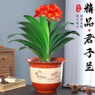 �����m���ԈA�^�����m���������k�����m�����҃��ļ��_���Gֲ����