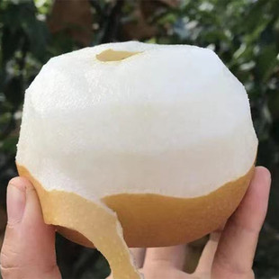 [Shandong Rock Sugar Feng Shui Pear] теперь выбирает хрустящий сладкий сок, нежный, не -типпи, № 1 5 фунтов свежих фруктов