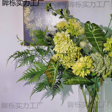 nG~ϵcG~SYûɫϵ滨ˬٻɭ