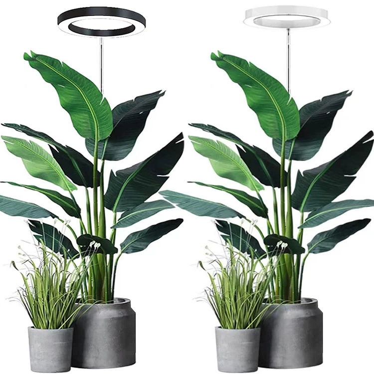 Светильник для растений USB, напольная модель, полный спектр солнечного света, с таймером, дополнительное освещение для комнатных растений