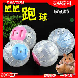 彩盖跑球仓鼠玩具宠物用品透明滚轮健身水晶运动小宠迷你转轮