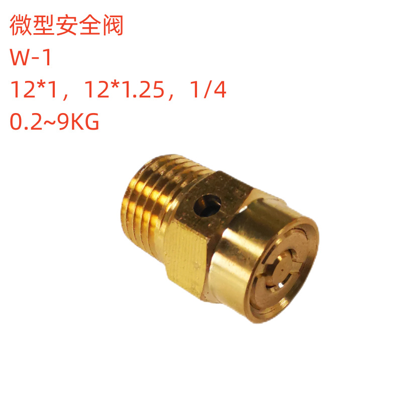 制氧机全铜安全阀泡沫机泄压阀活塞机气泵空压机弹簧式压力排气阀
