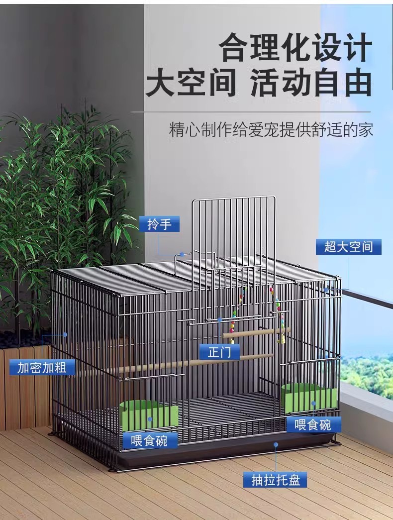 4b346696-b3bd-4bcf-a32e-82a282df71b0.jpe