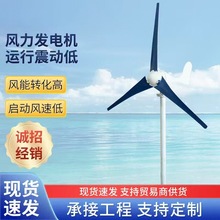 出口款水平风机300W小型风力发电机500W
