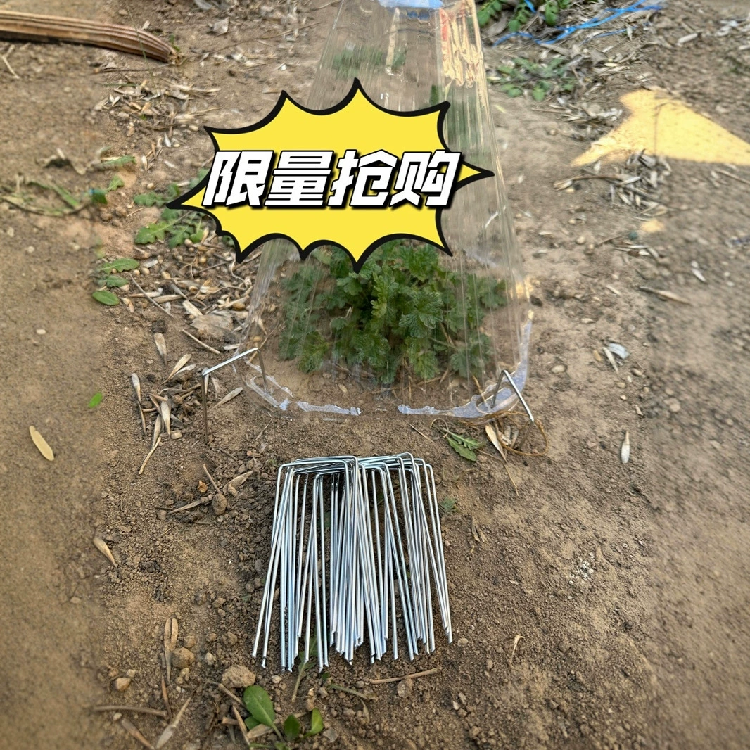 Наземные гвозди u-образные растительные колпаки прозрачные колпаки для защиты ногтей u-образные гвозди