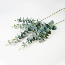 �ȼ������X���~�~�ȼ����~�Gֲ�Ĕz���~��Ҿ��b��߷���ֲ��