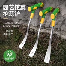 临沂工厂挖蒜铲3分铲刀不锈钢挖菜铲子双色把手农用挖野菜荠菜铲