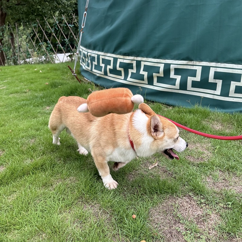 新しい犬用おもちゃ、鳴るぬいぐるみ1T、肉塊型、噛み応えがあり、インタラクティブで歯ぎしり、自ら楽しむ、退屈解消、子犬が鳴くおもちゃ|undefined