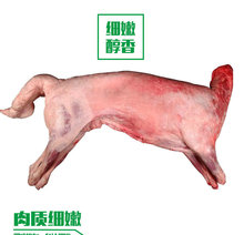 廠家灘羊之鄉鹽池灘羊肉 餐飲批發新鮮羊肉 31元每斤鮮嫩排酸羊肉