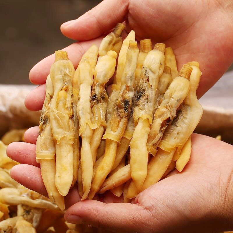 当季新货海蛏干海鲜干货海蛏子干竹节蛏子肉海产品海蛏子新鲜