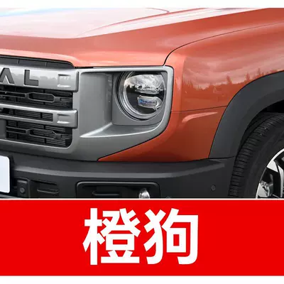 Xuanli, Chitu, Weilu, and Tank Avtomobil boya qələmləri - buy-one-get-two-1-coat-of-color-paint-1-coat-of-brightening-polish-plus-a-free-toolkit-cleaning-cotton-and-applicator-brush-orange-dog