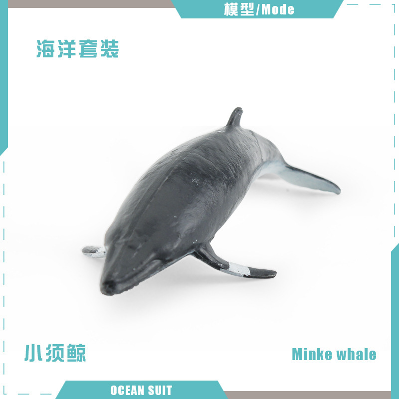 BL-5298 ballena minke 8g