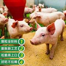 饲料猪饲料厂家直销80斤喂猪小猪开口中大猪育肥打窝全价领券下单
