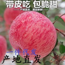烟台红富士苹果早熟10斤红富士冰糖心苹果当季新鲜脆甜多汁代发