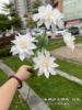 White wedding simulation flower wholesale Korean show wind, white wedding road, flowers, blooming hands, fake flowers