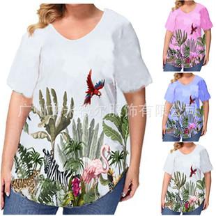 2021�ļ��W�����Q���R�d�¿��a����Ů�bӡ������T��