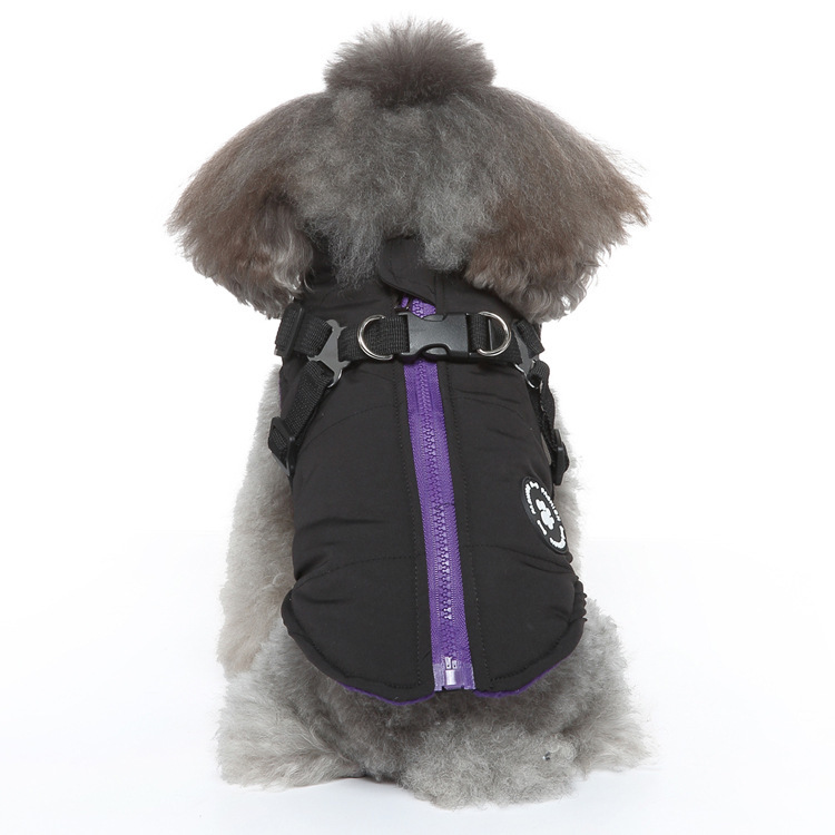 Amazon ジッパー犬ペット服テディ二本足綿服犬服秋と冬暖かいペット冬服|undefined