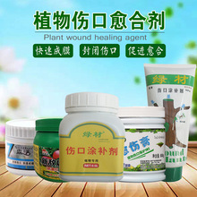 GĘľډTa辰TĤ޽ֲτ