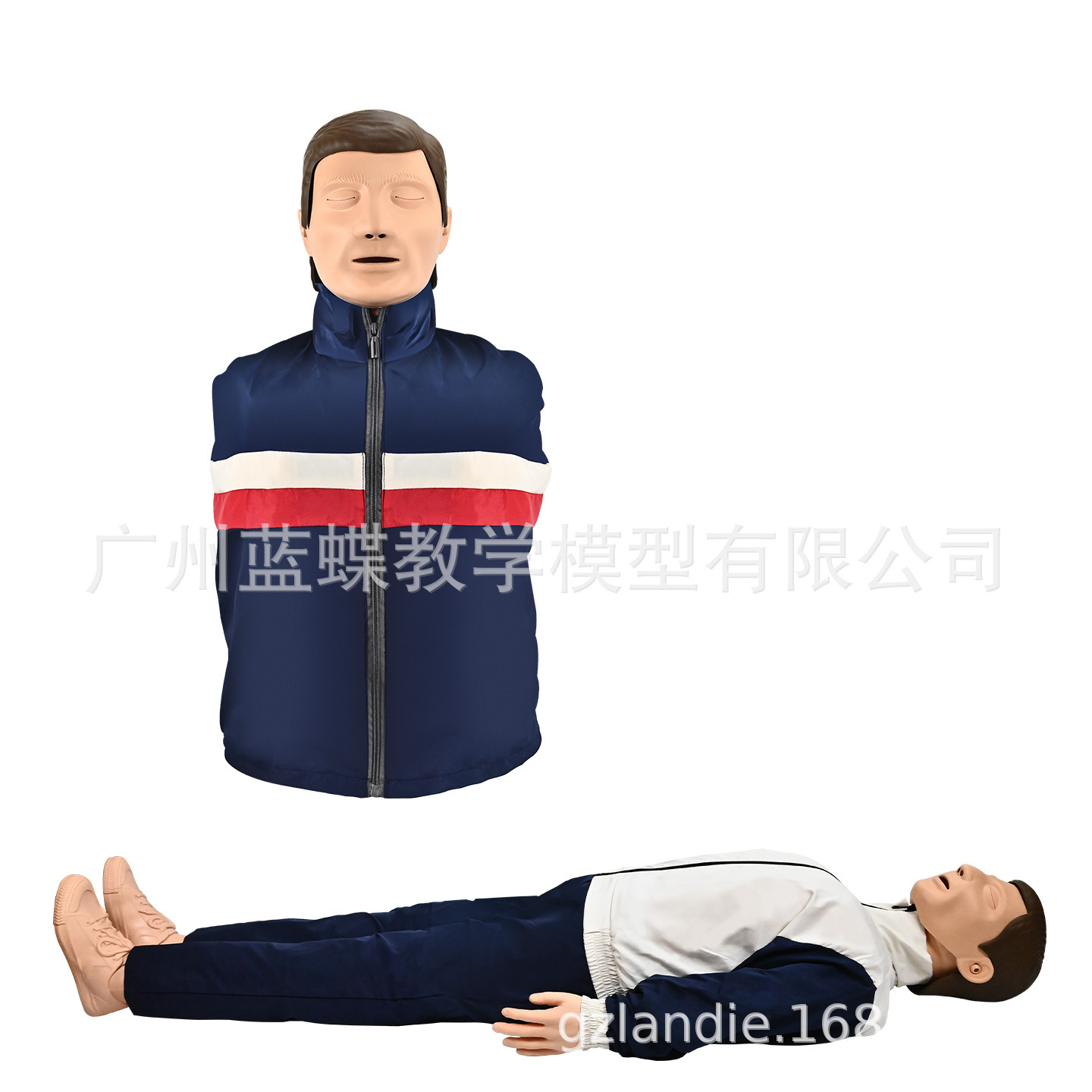 CPR190�ķθ���ģ���� �˹�����ѵ������ ����ģ�ͽ�ѧ�ð�������