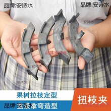 ����Ť֦�A��֦��������ľ�C����֦�l�̶��辰�����Ï����߉�֦��