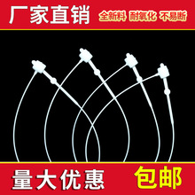 ��ɫ�A�^���ƾ�������ĸ���̘˒��Ƶ��Kһ�����̘˒���ƾ��S����