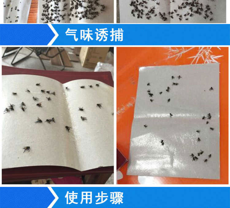 S202103020201-详情 (2).jpg