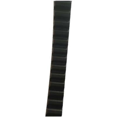Belt Suitable for Snow