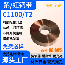 ͭӦC1100ͭ T2ͭ ܶTU2ͭ  渲Ĥ