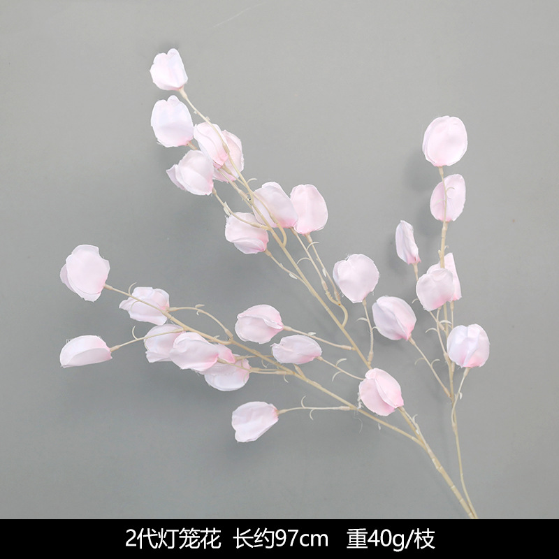 등불 꽃