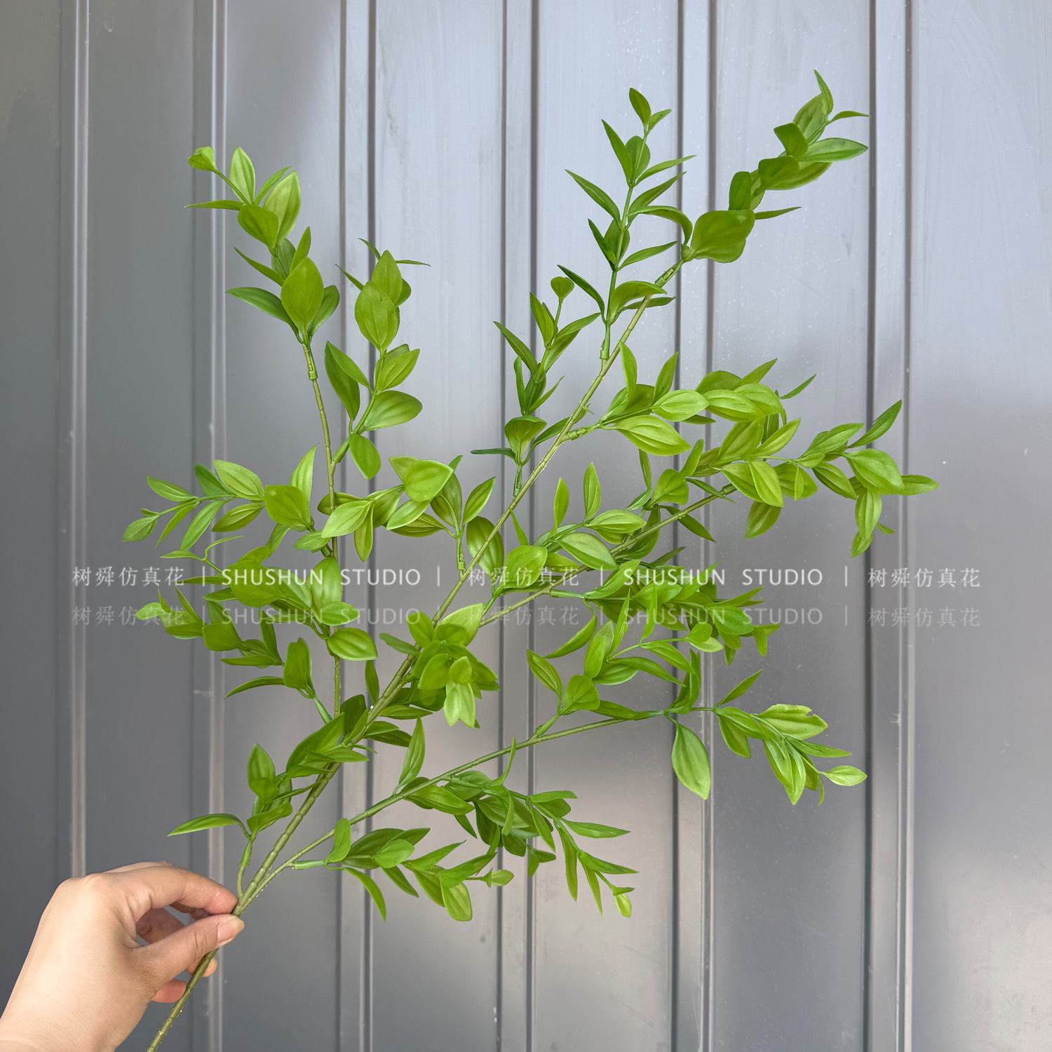 4 hojas de sauce de horquilla-verde degradado