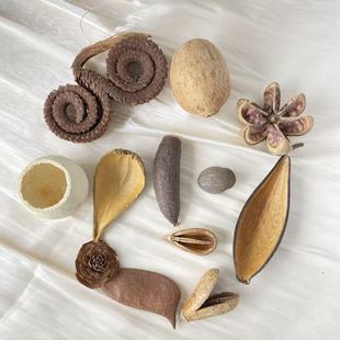 �M��ֲ������ɻ����������˱�diy�ֹ��������lһ�����l