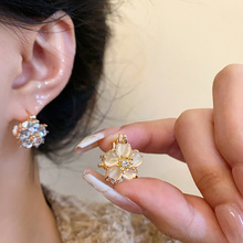 2024��߼������p����������ɫ������۶��h�p�������p��������