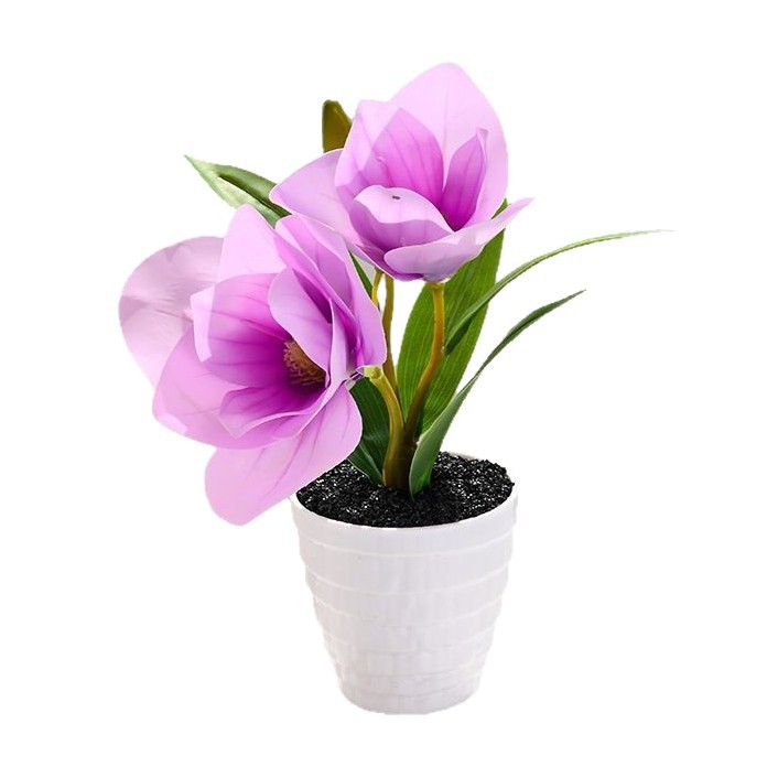 Dos flores y una fruta sensación de mano flor de magnolia bonsai simulación flor de decoración de estudio en el hogar decoración de plantas verdes artificiales simulación maceta image 6