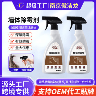 Mold remover for wall and wall mold removal artifact household anti-mold remover mold spray mold stain removal mold cleaner