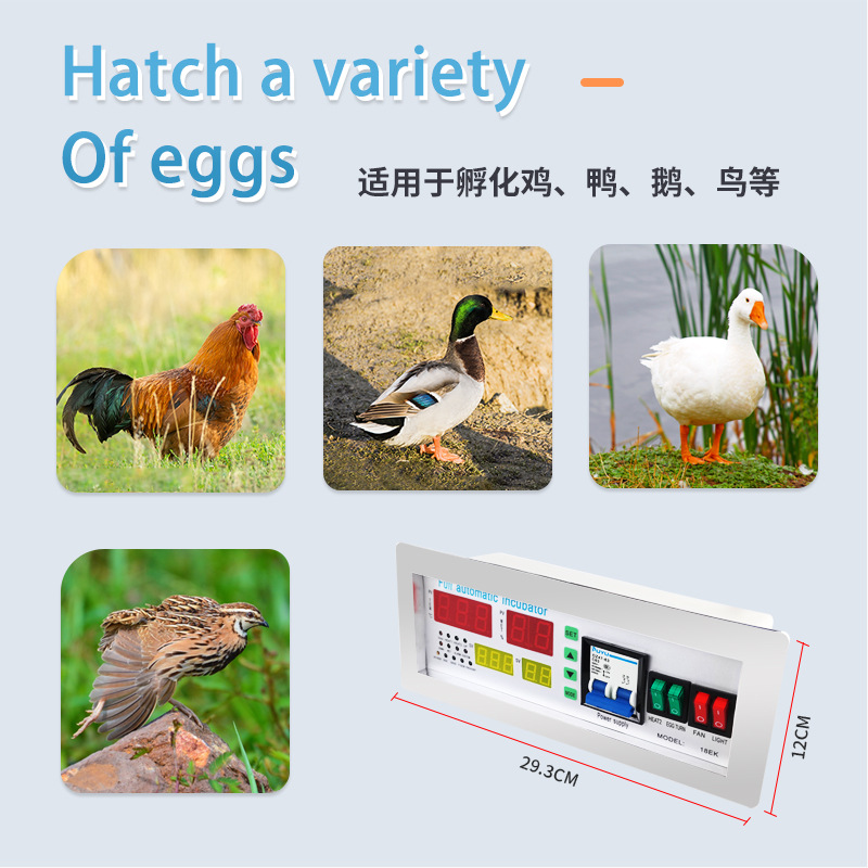 Nuevo controlador de incubadora automática XM-18EK grandes accesorios de incubadora controlador inteligente de temperatura y humedad