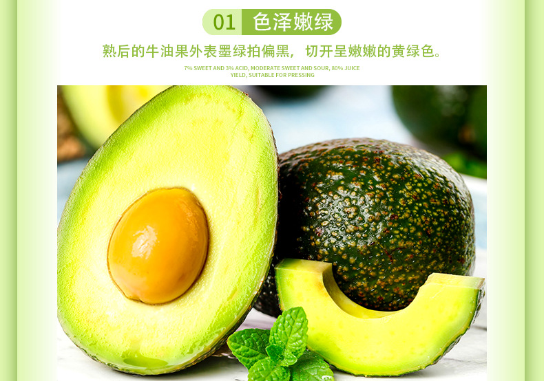 牛油果_05.jpg