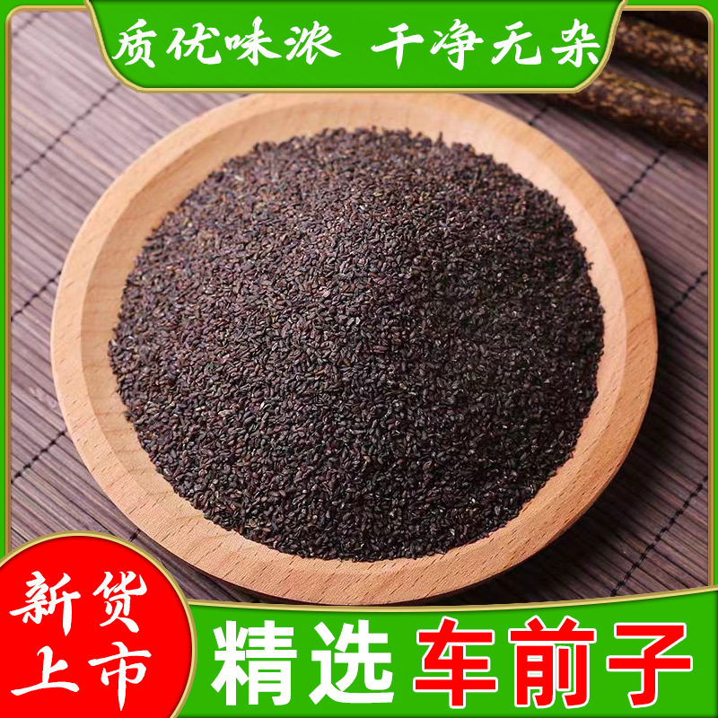 车前子中药材新货车前籽车前子茶车前草籽仁中草药车前子颗粒泡茶
