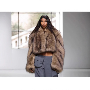 Cross-Border Export Imitation Mink Fur Short Outwear Women's Niche Autumn and Winter New Women's Jacket Fur Outwear Y0002