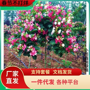 ͥԺ�G����N�t�����\�����绨�~�\������\���������\����������