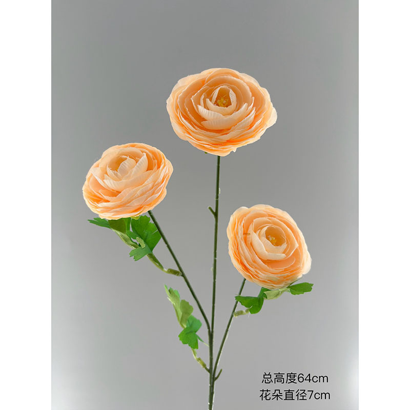 이슬 연꽃 머리 3개