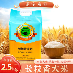 �L��������L������5��һ���L������ֱ�l�|�����׏S�����l�L����