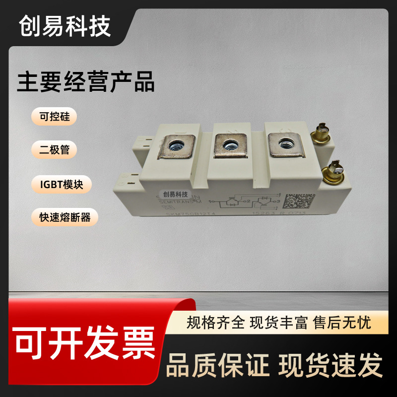 SKM75GB12T4 SKM75GB123D/75GB124D/75GB128D/75GB12V/75GB063D