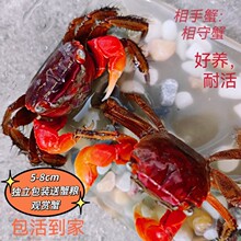 �з��������з��̖����з���w����з��B�����׌���з�^�pз����