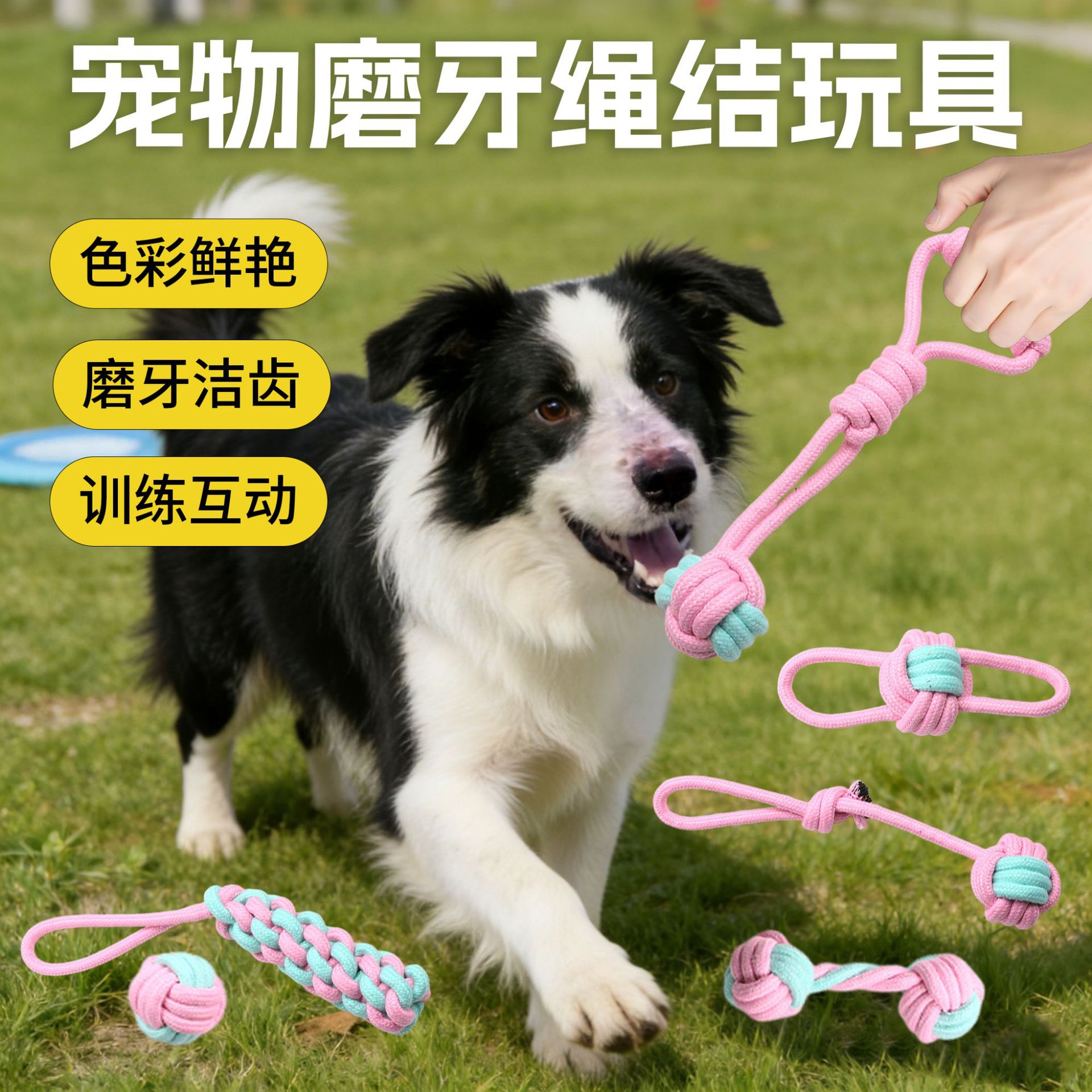 Set de juguetes de cuerda de algodón resistente para perros y gatos