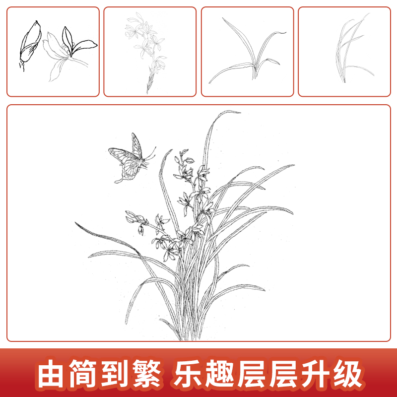 中国画白描描摹本五册 工笔画白描底稿临摹画册动物人物花卉北秦