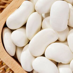 ��ܿ�����l朽�1000g���b���l��ϰ�ܿ�����w��