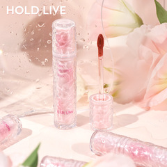HOLD LIVE Blush Powder Ice Crackle Fog Point Lip Lacquer Lip Cream Lipstick Fog Finish Matte Velour Lip Mud Student HL658